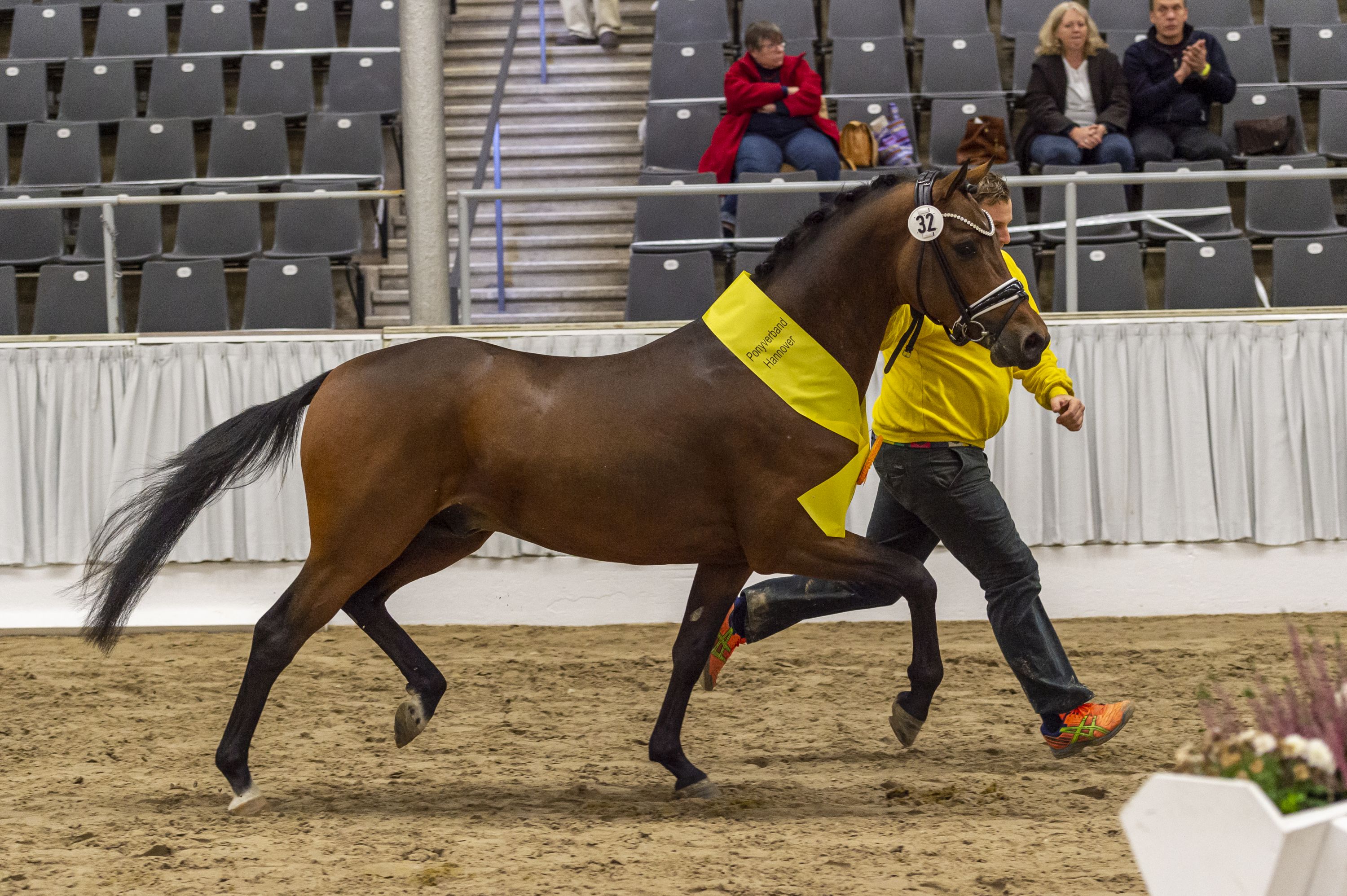 32_Deezer_AT_v_D-Power_AT-Keerlke_Verden_20_TBE6204_EQUITARIS.NEFJunghengstkörung Verden 2020Foto: Dr. Tanja Becker/Equitariswww.equitaris.de/Dr. Tanja Becker