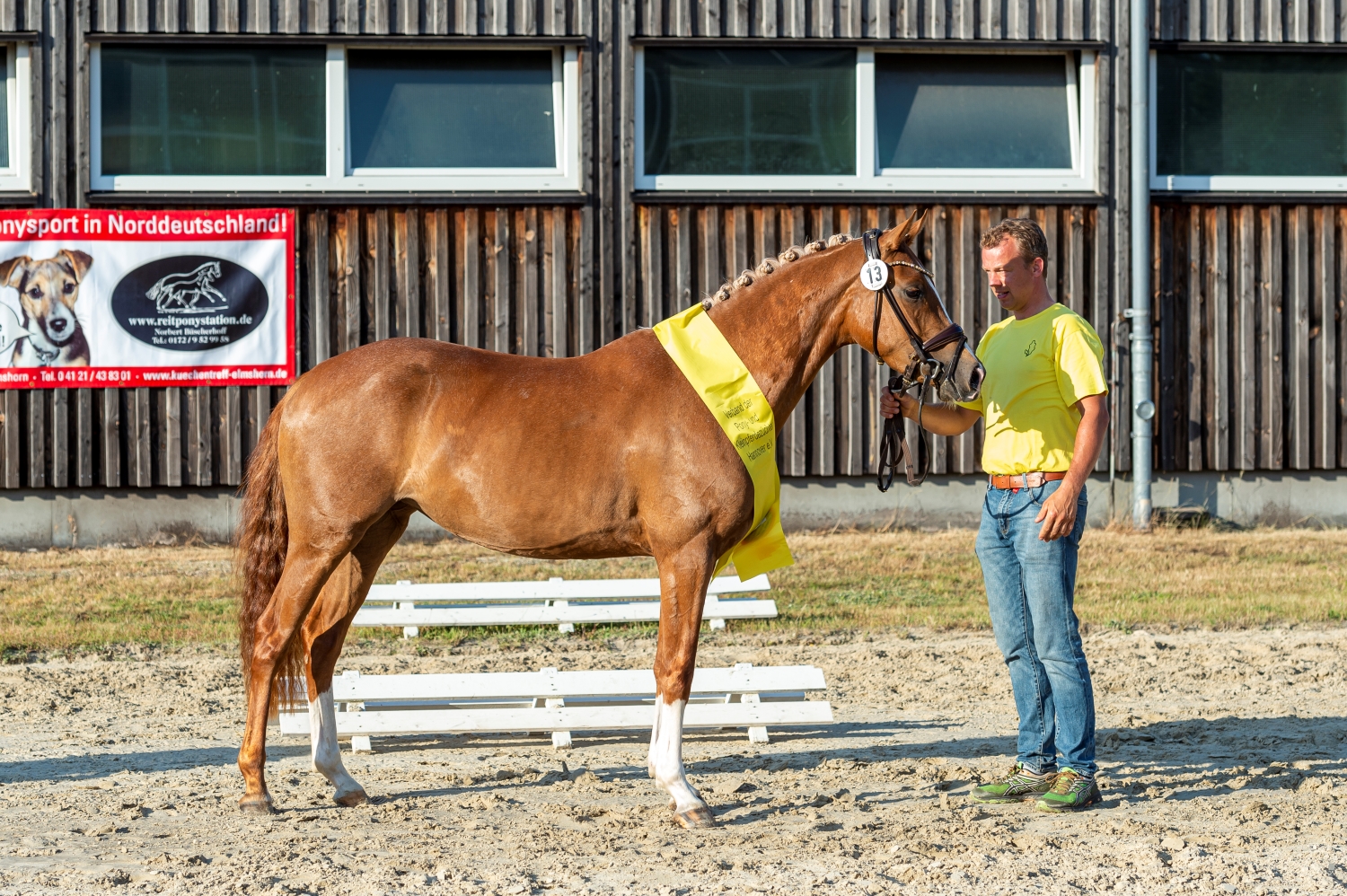 13 Zoethens Candle Light Adelheidsdorf 21 TBE 1424 EQUITARIS