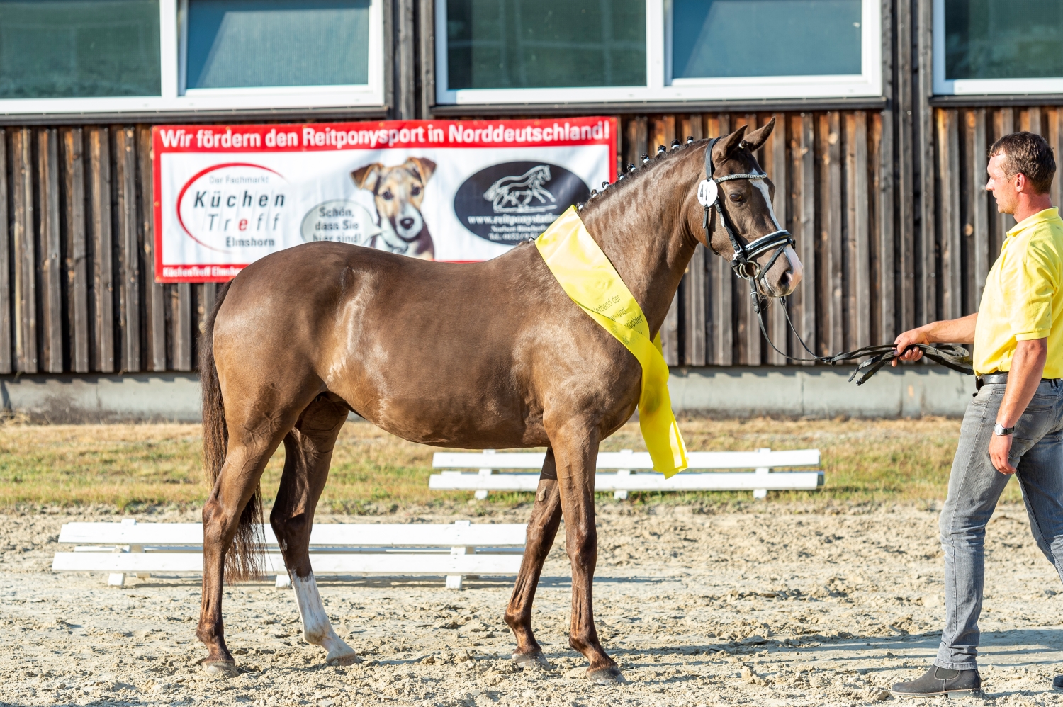 41 Reitlands Celebration B Adelheidsdorf 21 TBE 1375 EQUITARIS