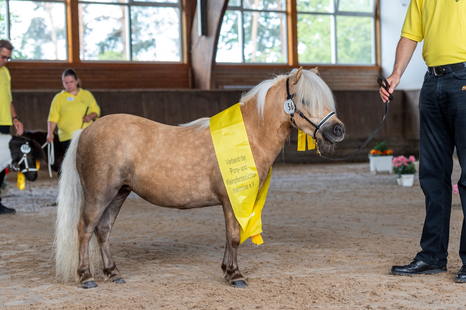 56 Elmhorst Bailey Adelheidsdorf 21 TBE 1516 EQUITARIS