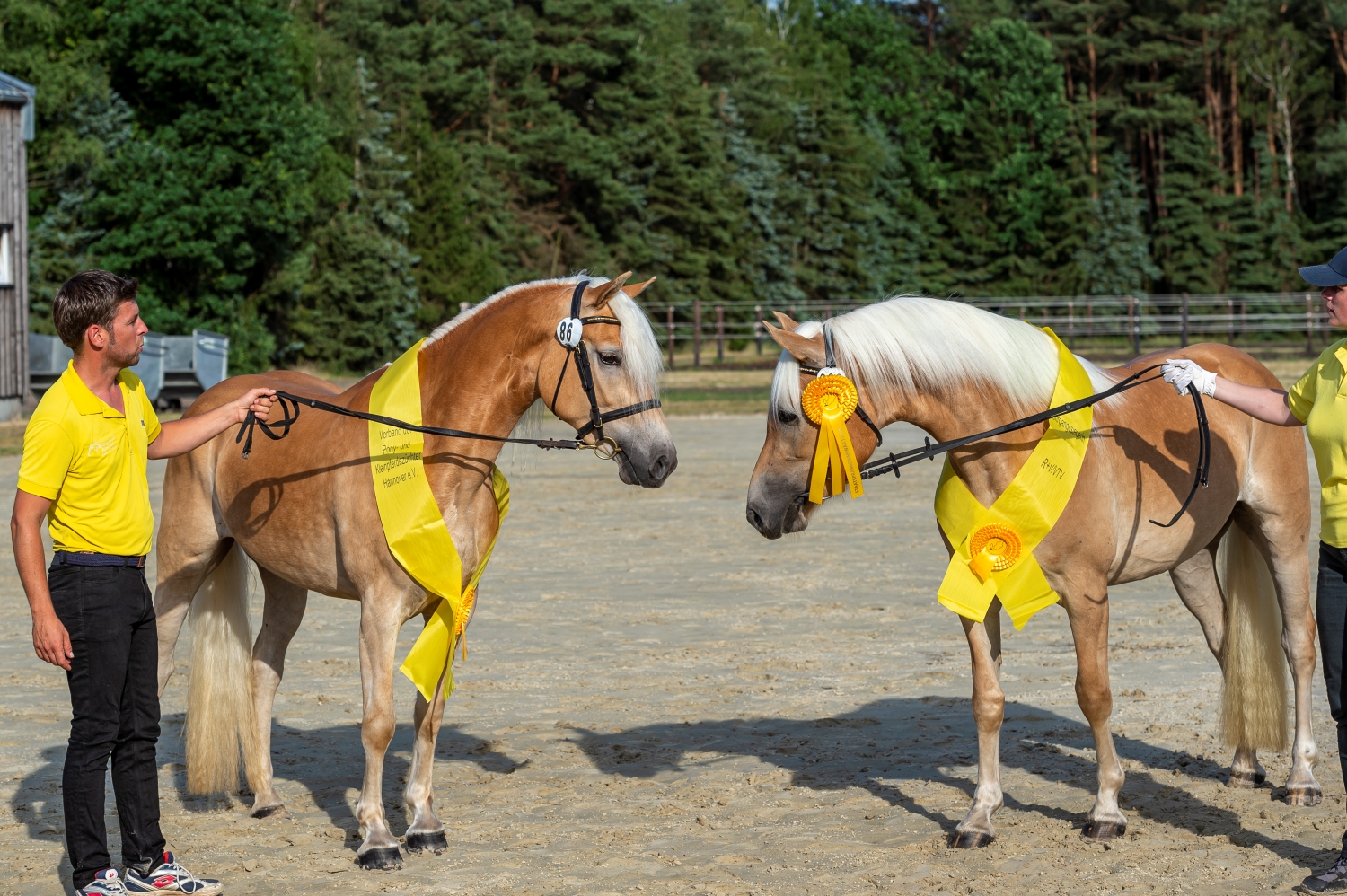 86 Omira S 93 Maria Adelheidsdorf 21 TBE 1975 EQUITARIS