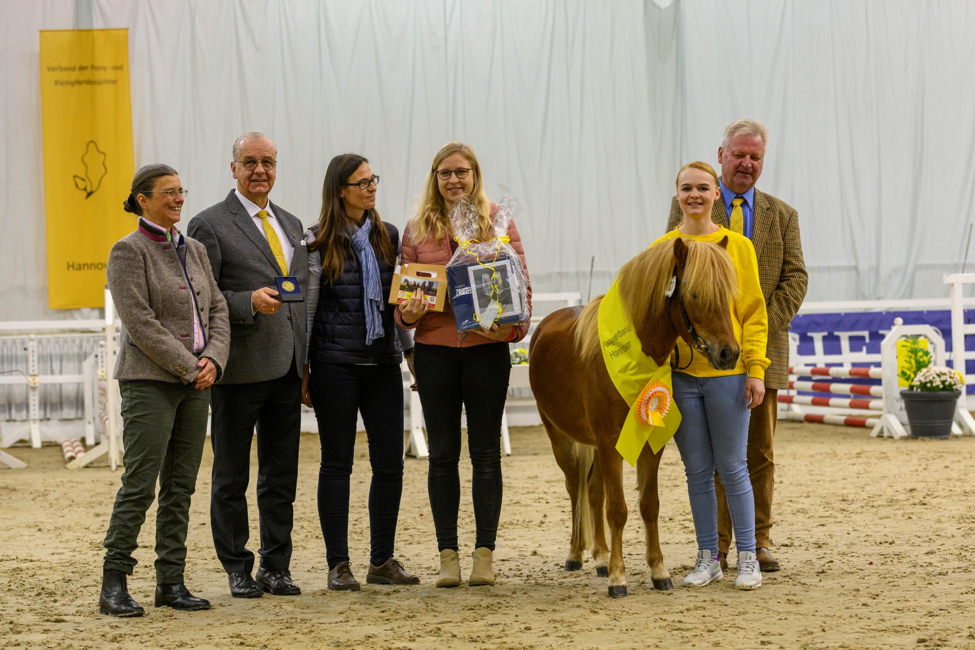 07 Jonni v Just in Time Janosch von Krummesse Verden 22 TBE 9936 EQUITARIS