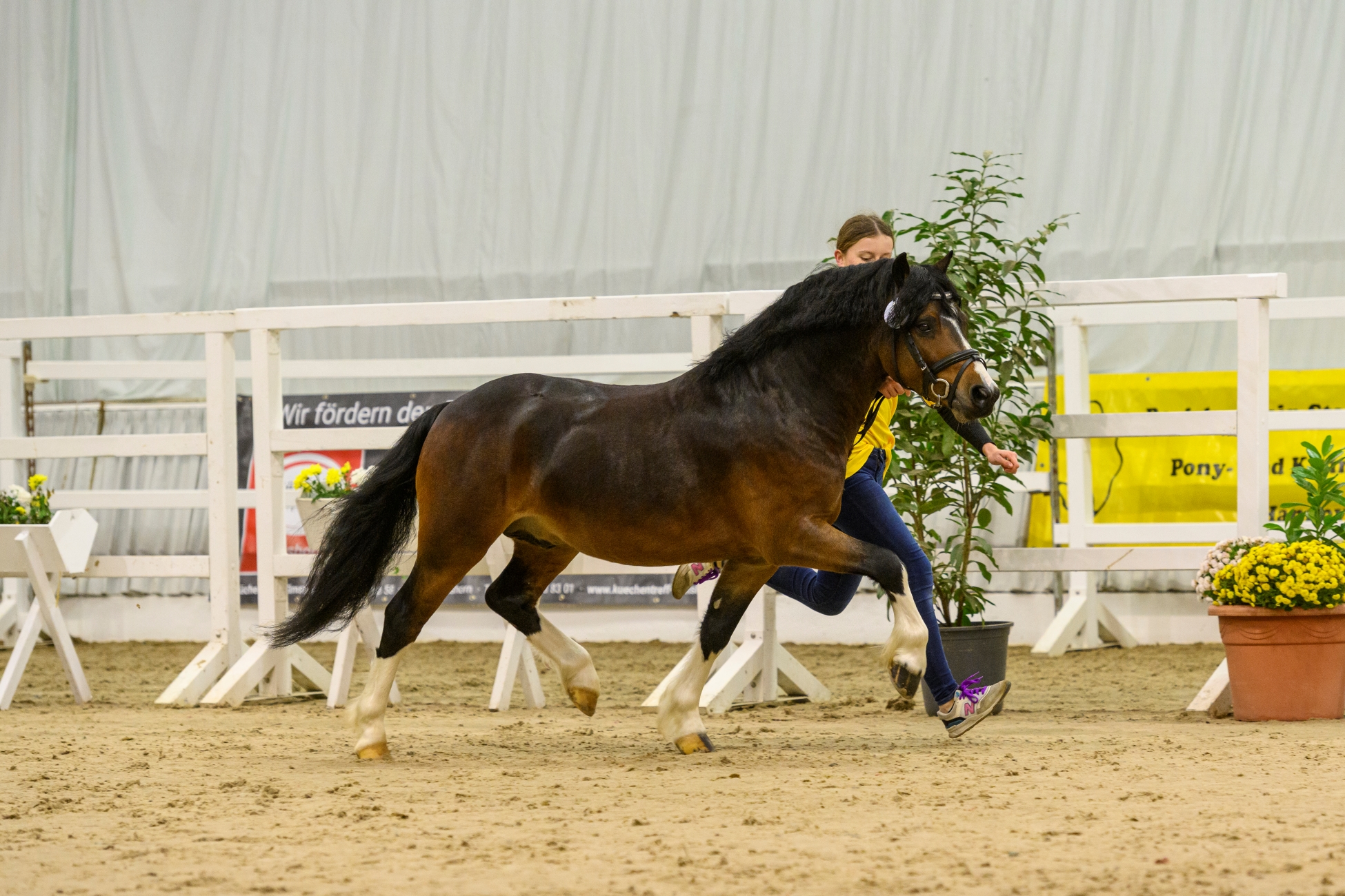 08 Rians Giant v Lord Stanley Rians Taco Verden 22 TBE 9960 EQUITARIS