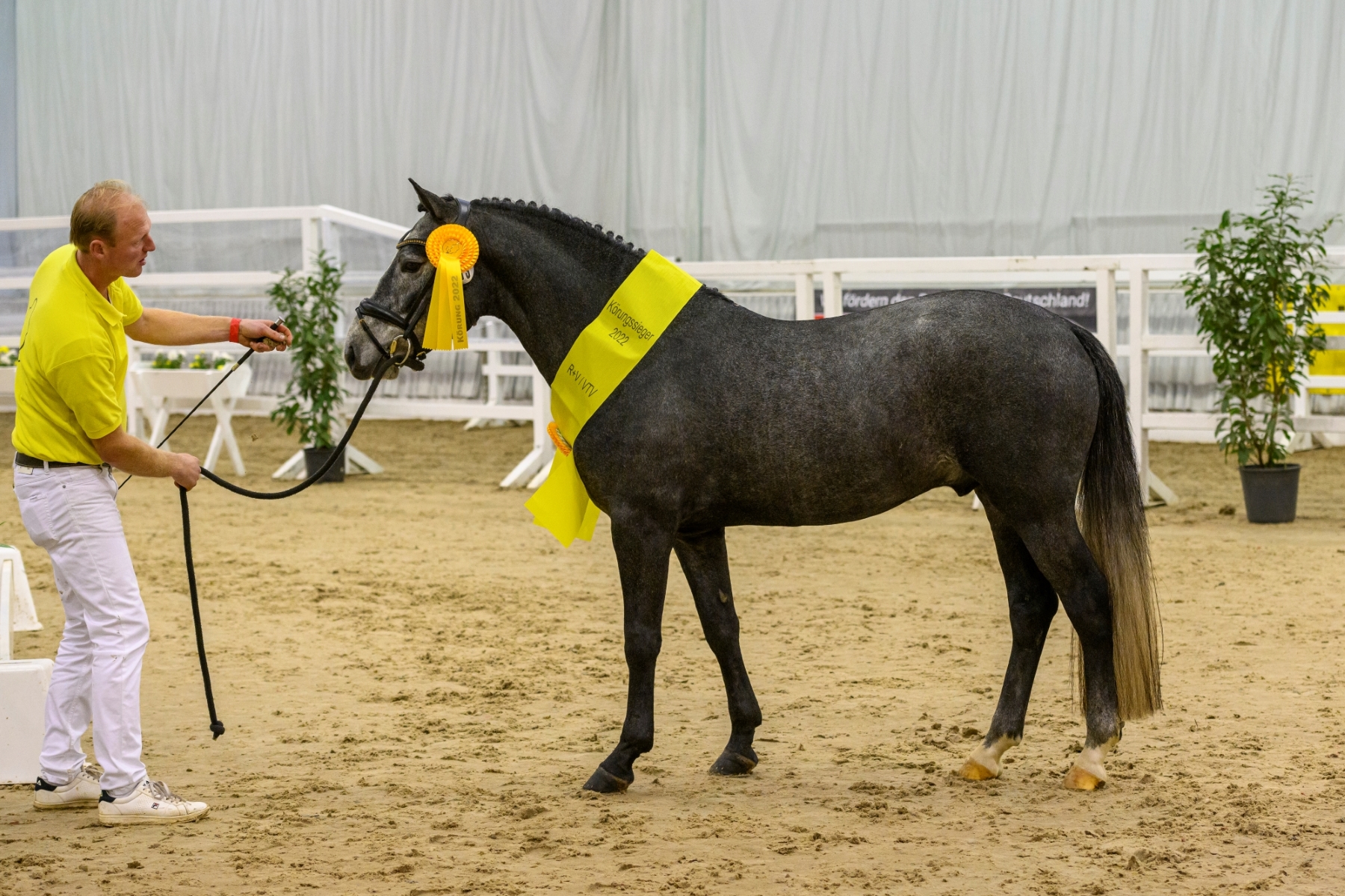 13 Frics Galileo v Gay Count Shetan Miclas Activ Verden 22 TBE 0120 EQUITARIS