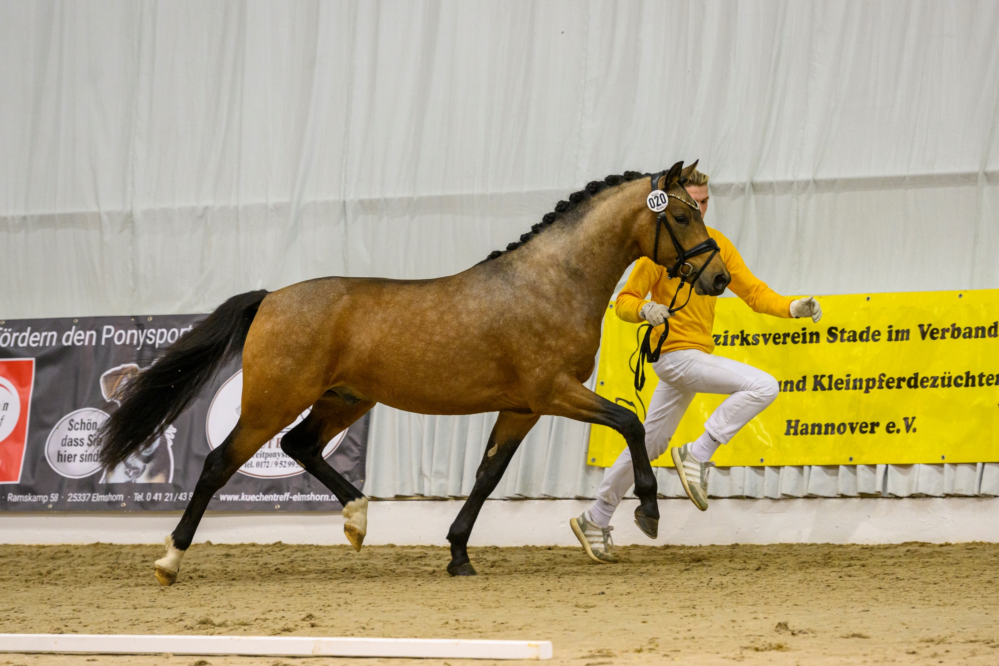 20 Junkbrunnens Creme de la Creme v Coer Noble FS Dr Watson Verden 22 TBE 0749 EQUITARIS