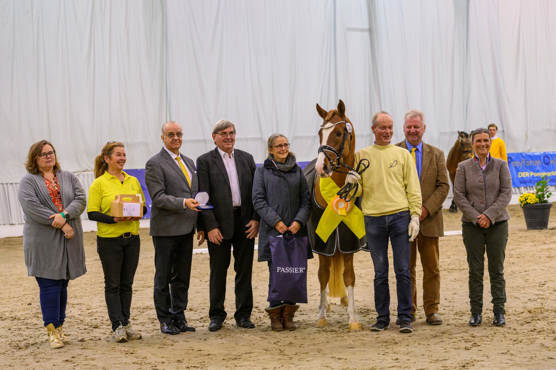 53 Next Edition v FS Numero Uno NRW FS Champion de Luxe Verden 22 TBE 1440 EQUITARIS