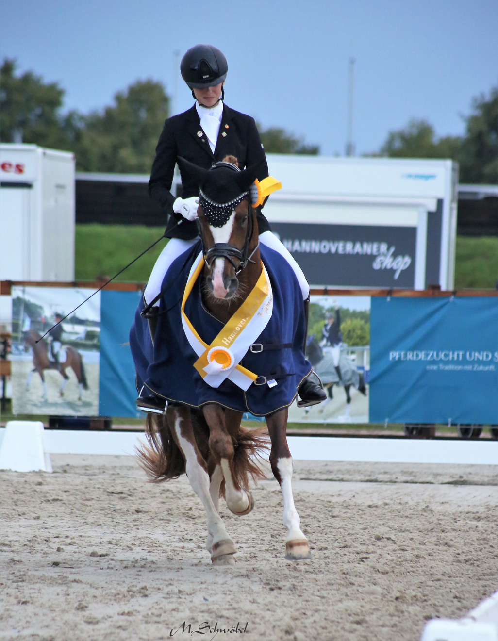 03 Bon Coeur U Sieger 3 j H co schwoebel 12