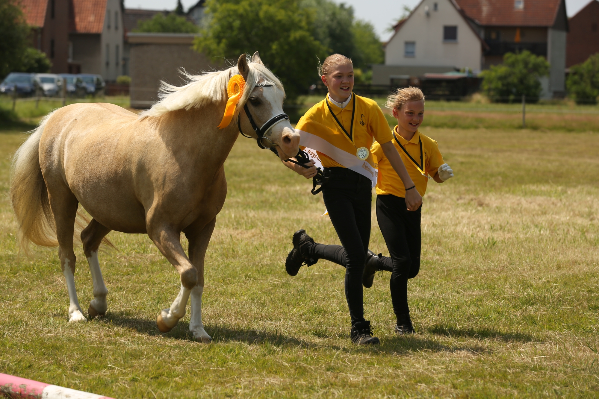 Jungzüchter BV HANNkl