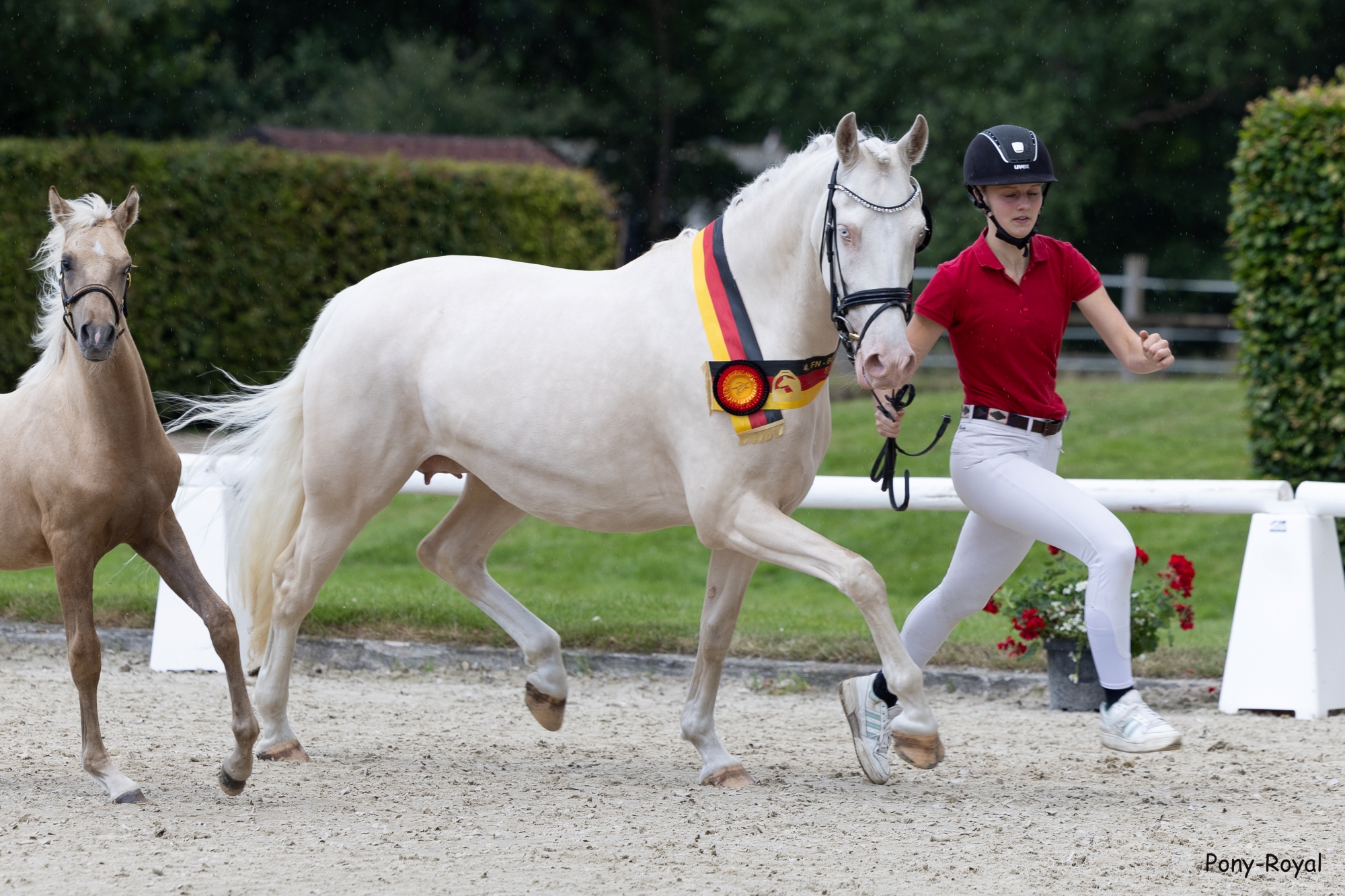 2024 07 14 29 Dairalia g 0834