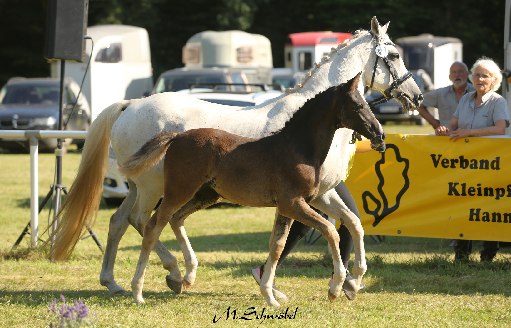 16 DR SF Reserve Shining Smilla Marie Sophie Clausen 1