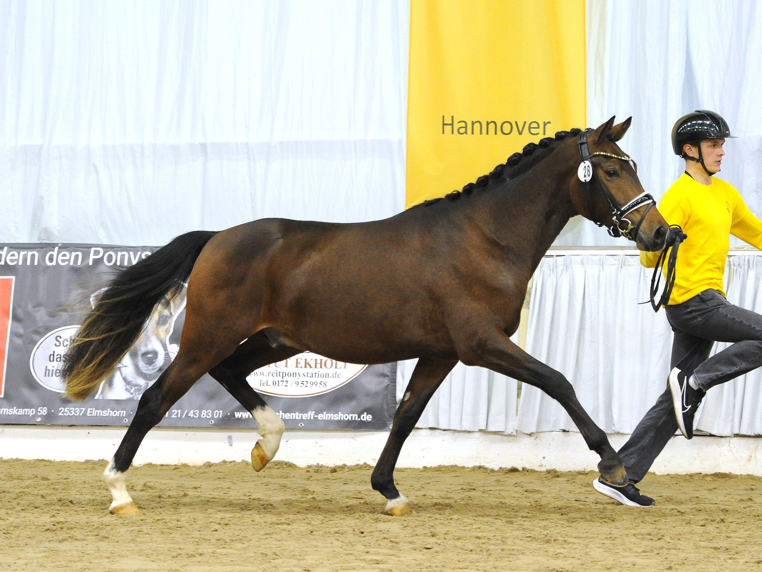 Rickhofs der Naseweiß