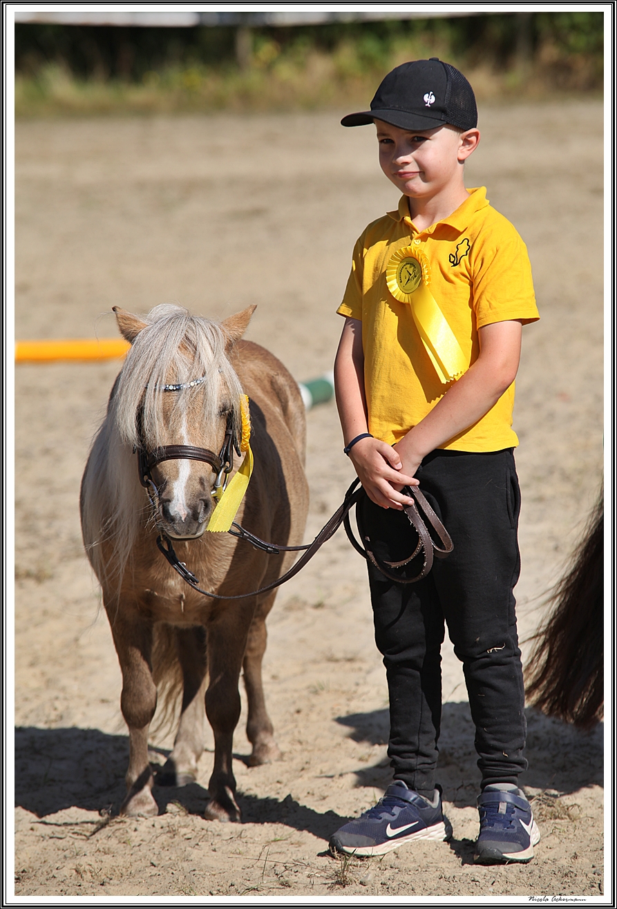 Steffens Vorfuehrer des Tages 