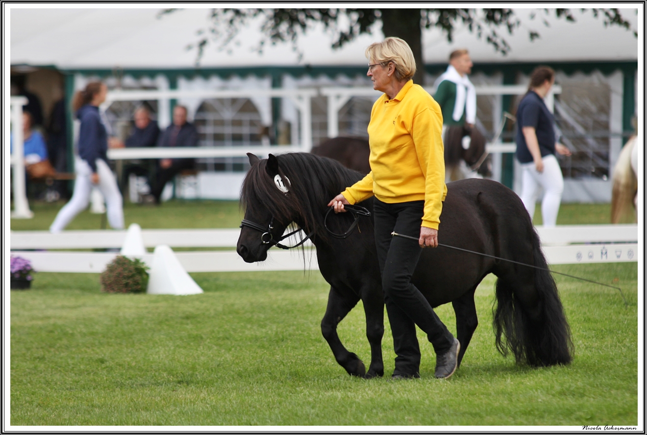 FN Bundesschau Redefin 230825 Kiel g jemma IMG 4761