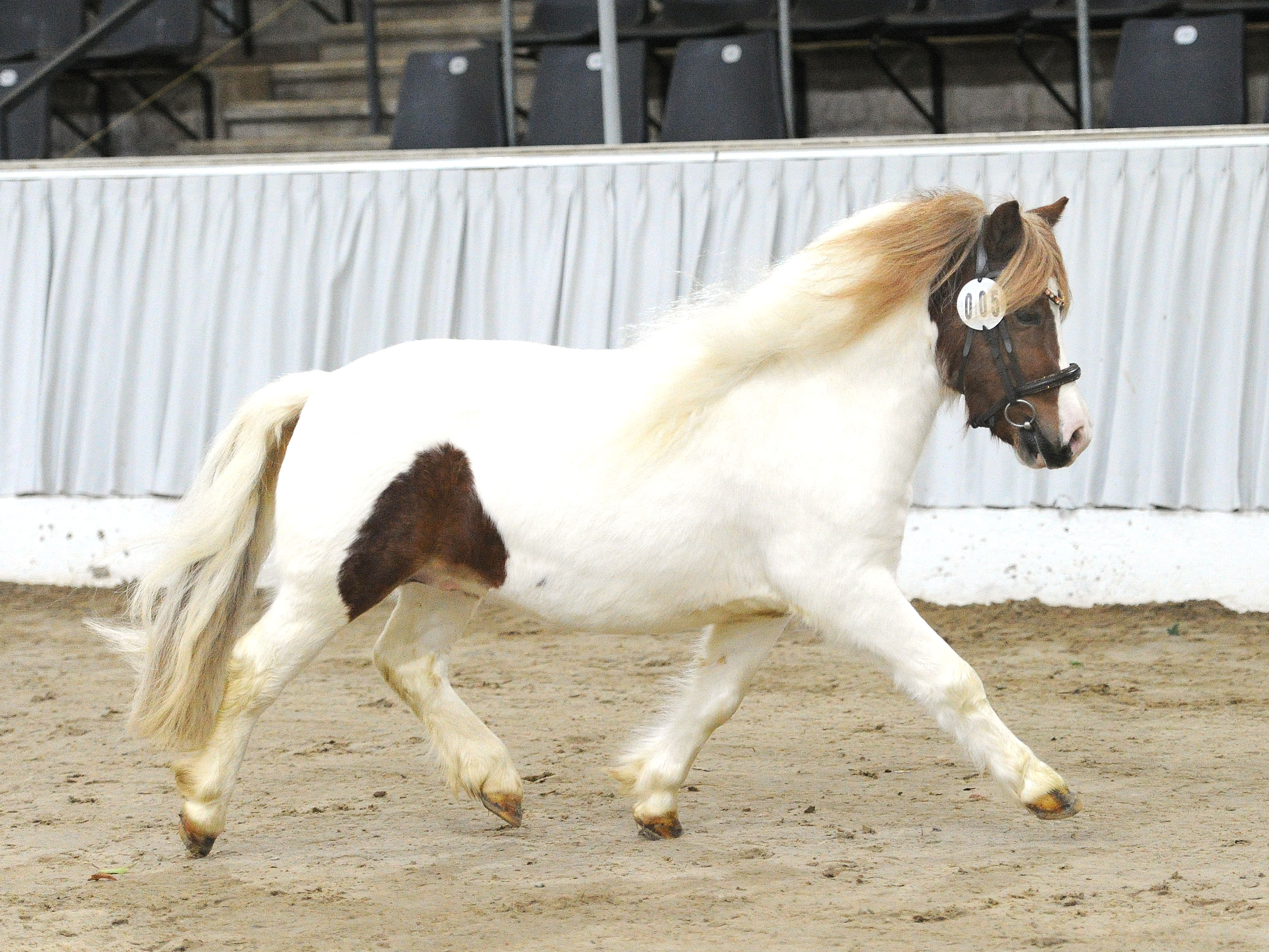 Dajas Kasper v. Kentucky v.Stal van AschbergViskan v. Kloster Ihlow