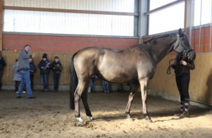 20130404081928 3 NS7A0259 1